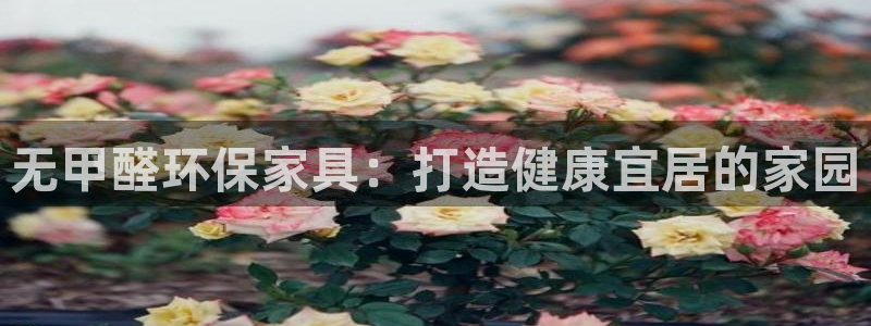 杏耀平台网站是什么