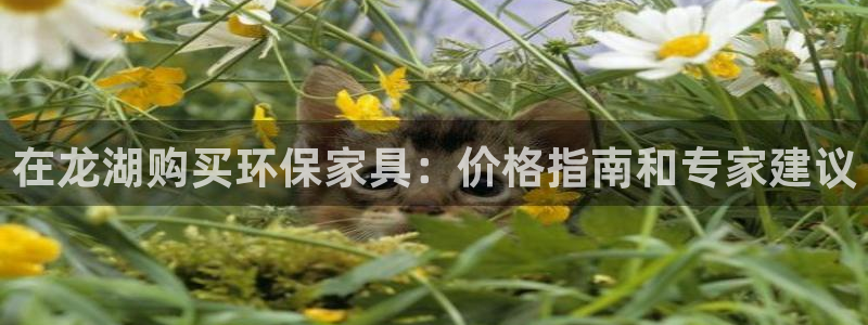 杏耀平台官网网址