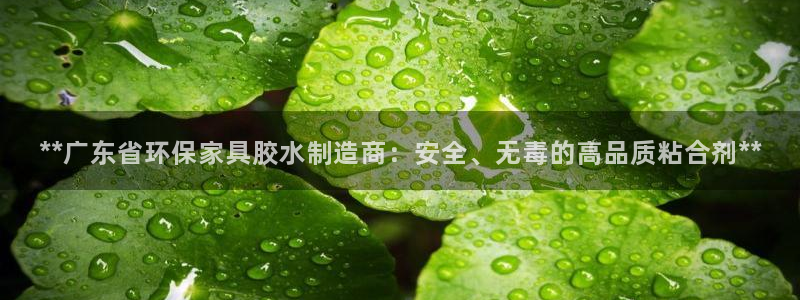 杏耀官网网站