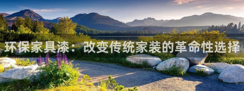 杏耀代理主管qq