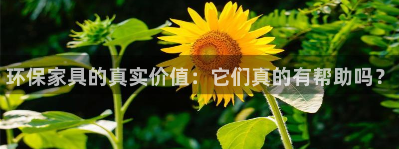 杏耀平台代理怎么赚钱