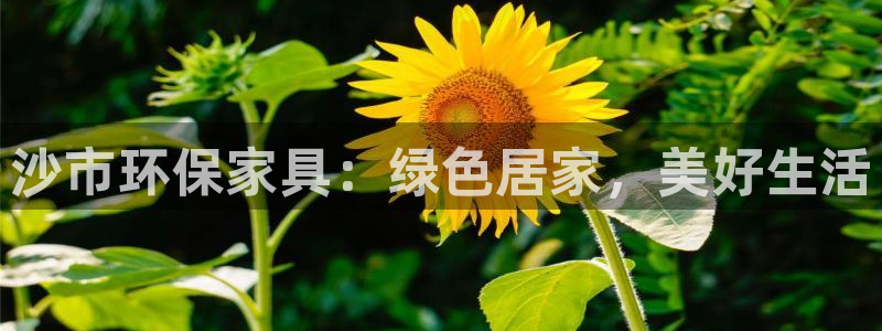 杏耀平台指定