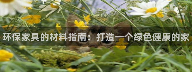 杏耀平台分红