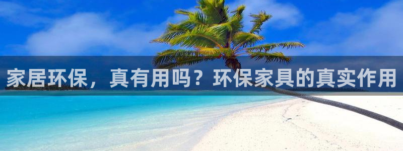 杏耀软件