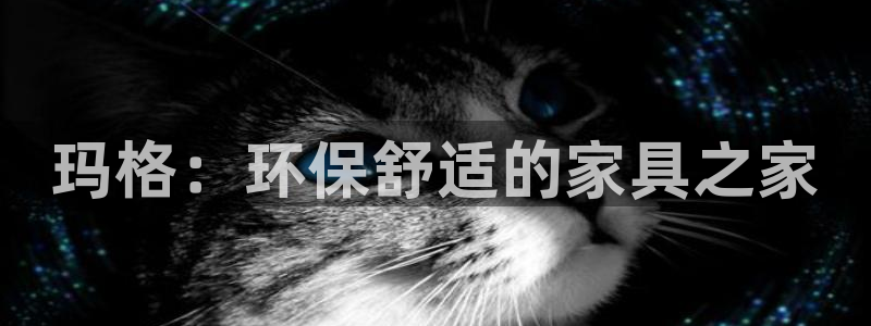 杏耀软件