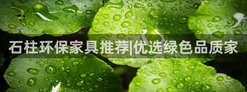 杏耀平台线路测速