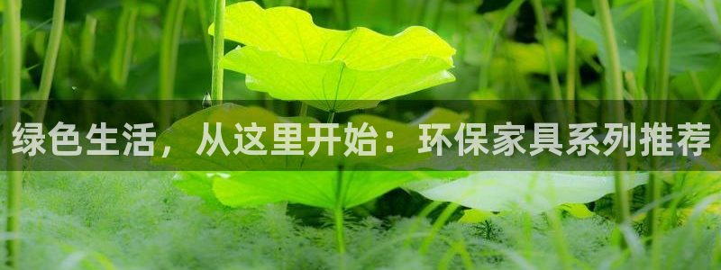 杏耀注册登录测速：绿色生活，从这里开始：环保家具系列推荐