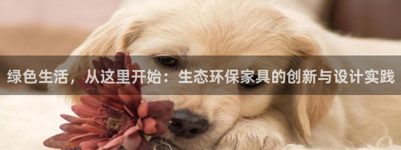 杏耀平台服务中心怎么样：绿色生活，从这里开始：生态环保家具的