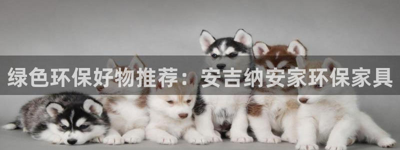 杏耀总代理：绿色环保好物推荐：安吉纳安家环保家具