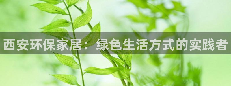 杏耀平台线路测试：西安环保家居：绿色生活方式的实践者