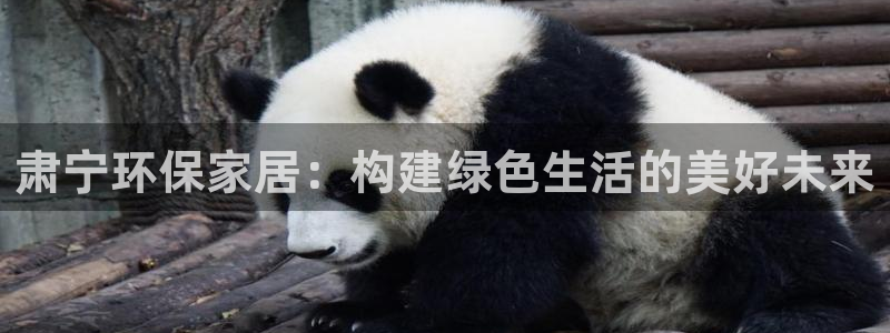 杏耀平台登陆官网：肃宁环保家居：构建绿色生活的美好未来