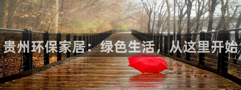杏耀登录测速：贵州环保家居：绿色生活，从这里开始