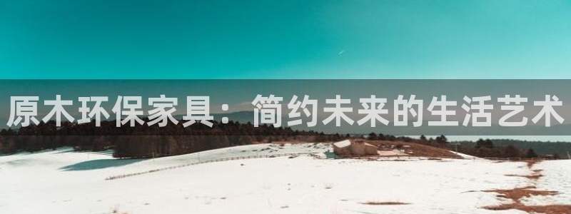 杏耀平台注册：原木环保家具：简约未来的生活艺术
