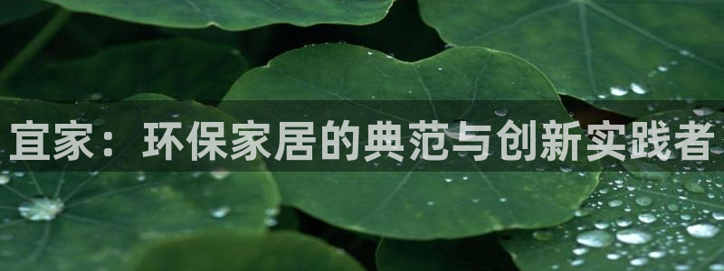 杏耀平台服务中心是干嘛的：宜家：环保家居的典范与创新实践者