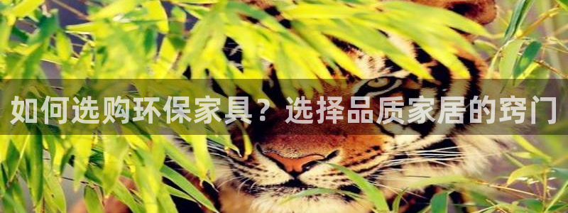 杏耀注册中心：如何选购环保家具？选择品质家居的窍门