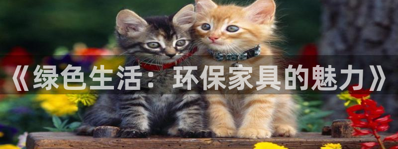 杏耀总代：《绿色生活：环保家具的魅力》