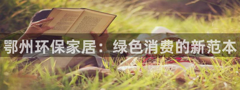 杏耀官网网站中心：鄂州环保家居：绿色消费的新范本