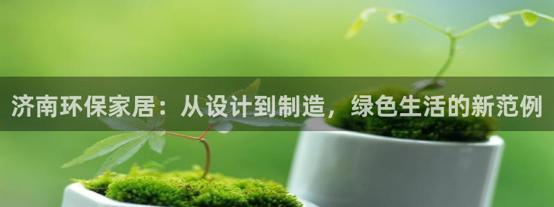 杏耀平台手机：济南环保家居：从设计到制造，绿色生活的新范例