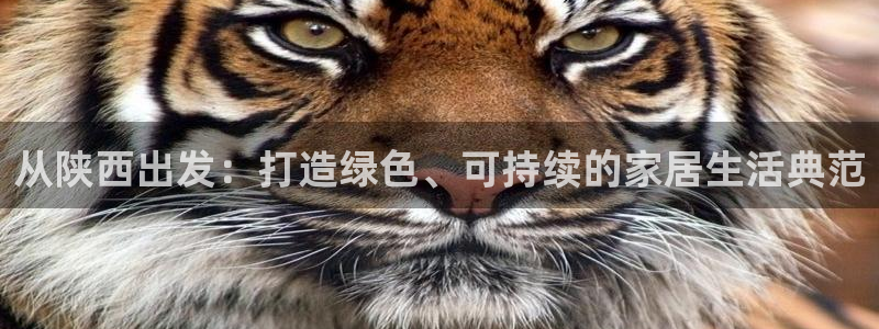 杏耀平台客服：从陕西出发：打造绿色、可持续的家居生活典范