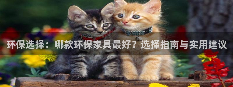 杏耀平台代理注册多少钱一年：环保选择：哪款环保家具最好？选择