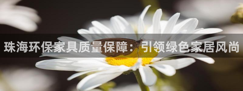 杏耀平台没有了：珠海环保家具质量保障：引领绿色家居风尚