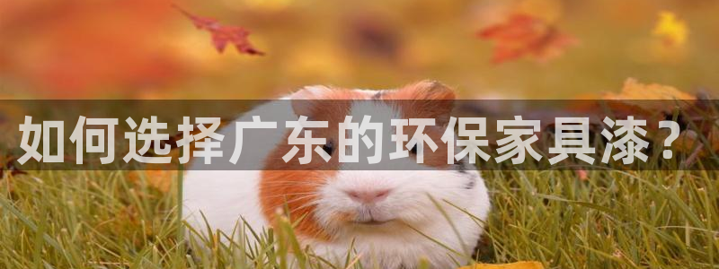 杏耀平台登录网站：如何选择广东的环保家具漆？