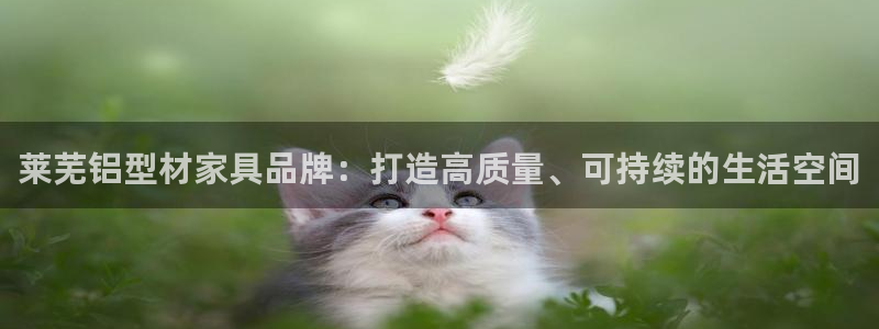 杏耀平台代理登录网址查询：莱芜铝型材家具品牌：打造高质量、可