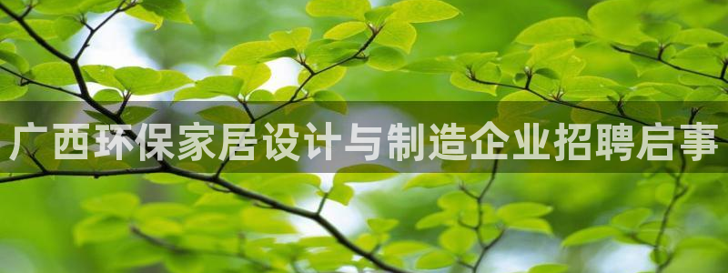 杏耀登陆
