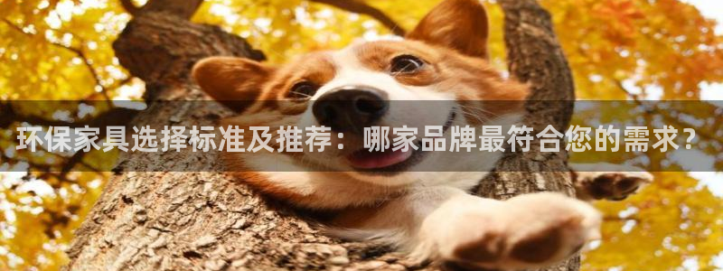 杏耀平台首页登录：环保家具选择标准及推荐：哪家品牌最符合您的