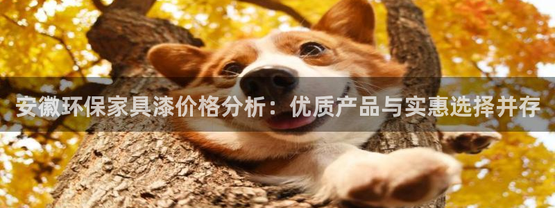 杏耀登陆：安徽环保家具漆价格分析：优质产品与实惠选择并存