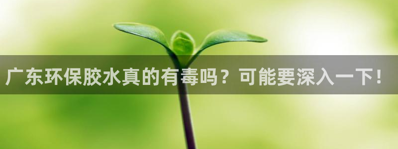 杏耀测速娱乐