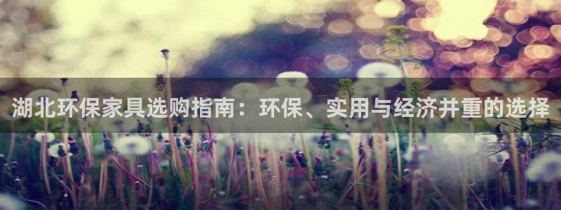 杏耀平台测速登录：湖北环保家具选购指南：环保、实用与经济并重