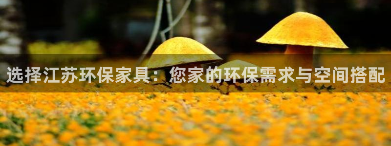 杏耀官网app：选择江苏环保家具：您家的环保需求与空间搭配