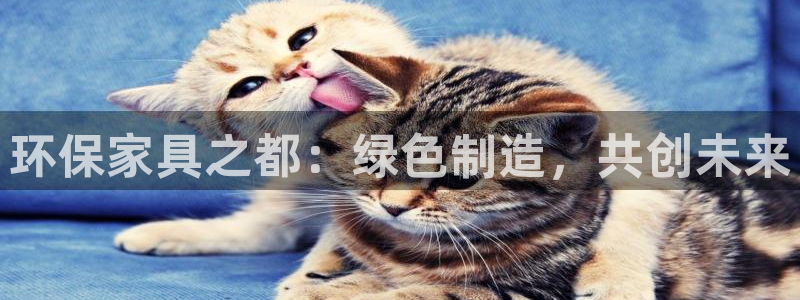 杏耀官方注册中心：环保家具之都：绿色制造，共创未来