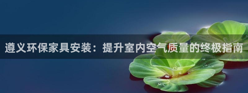 杏耀官网网站中心：遵义环保家具安装：提升室内空气质量的终极指