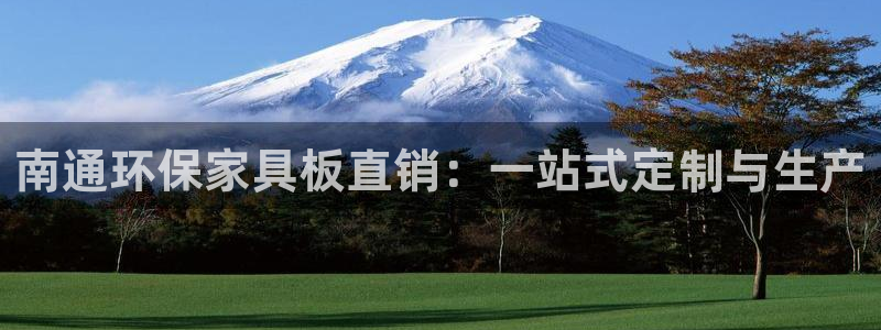 杏耀平台网站是什么：南通环保家具板直销：一站式定制与生产