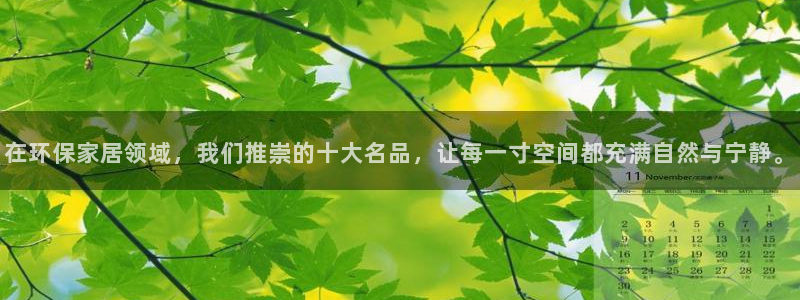 杏耀注册登录测速：在环保家居领域，我们推崇的十大名品，让每一