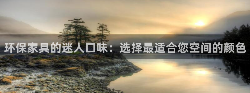 杏耀代理日工资多少：环保家具的迷人口味：选择最适合您空间的颜