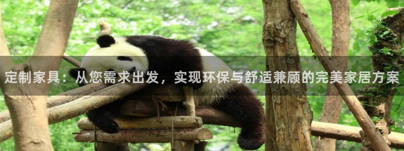 杏耀注册app：定制家具：从您需求出发，实现环保与舒适兼顾的