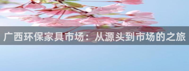 杏耀平台可以提款吗：广西环保家具市场：从源头到市场的之旅