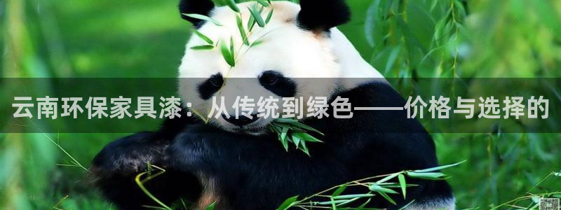 杏耀平台登录入口：云南环保家具漆：从传统到绿色——价格与选择